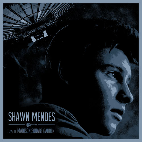 Shawn Mendes - Strings